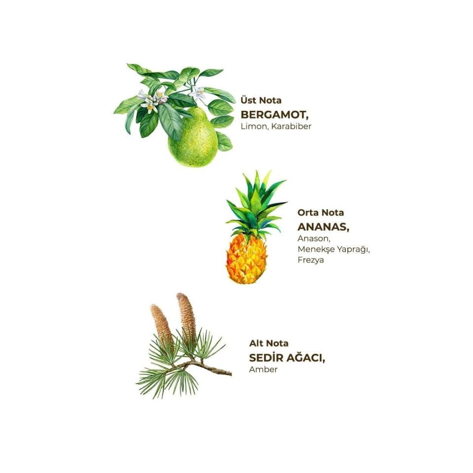 Okyanus Kolonyası 400 ml - Pet Şişe 1 Adet