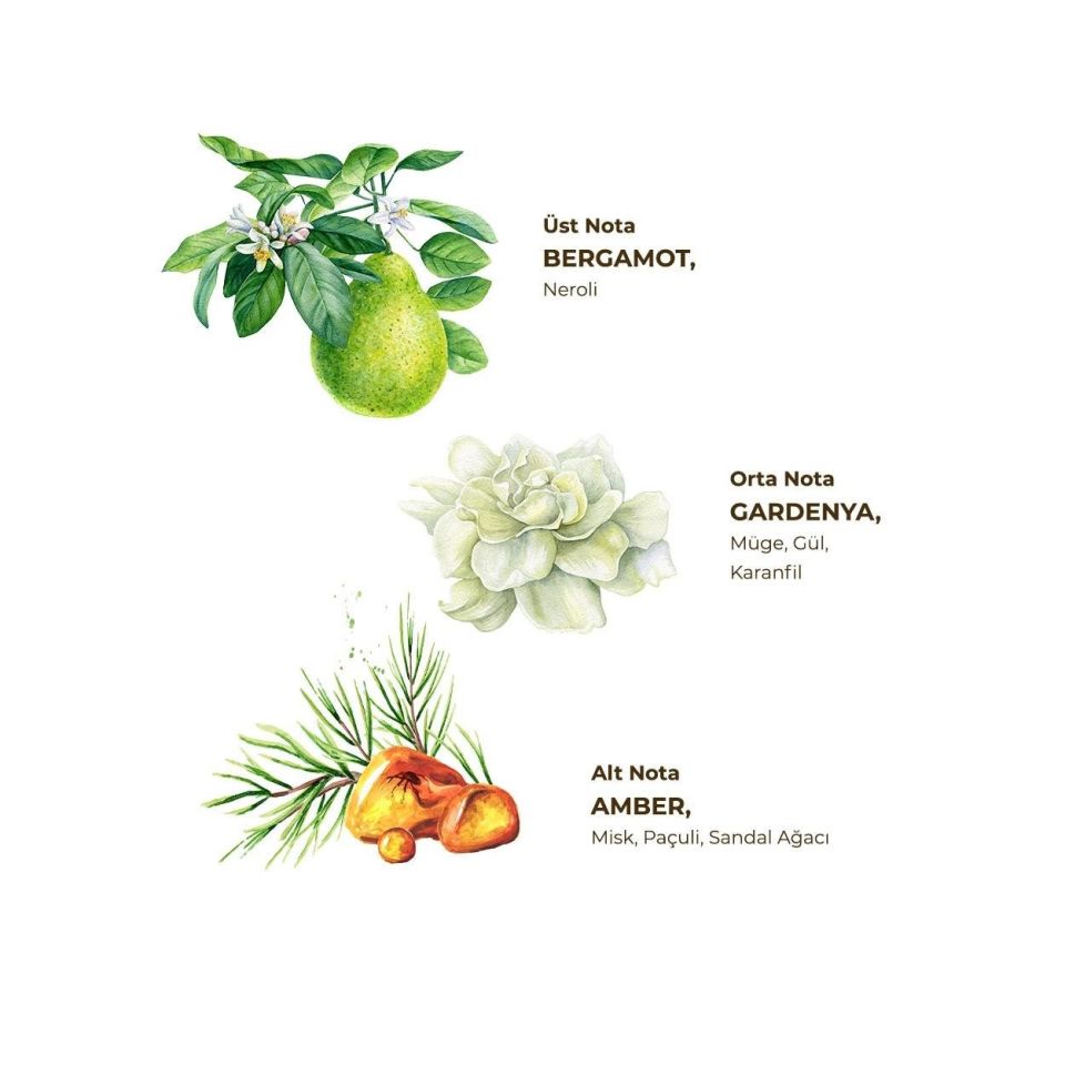 Gardenya Kolonyası 400 ml - Pet Şişe